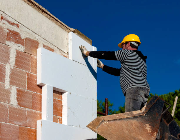 Best Insulation Installation Services in Waldron, AR