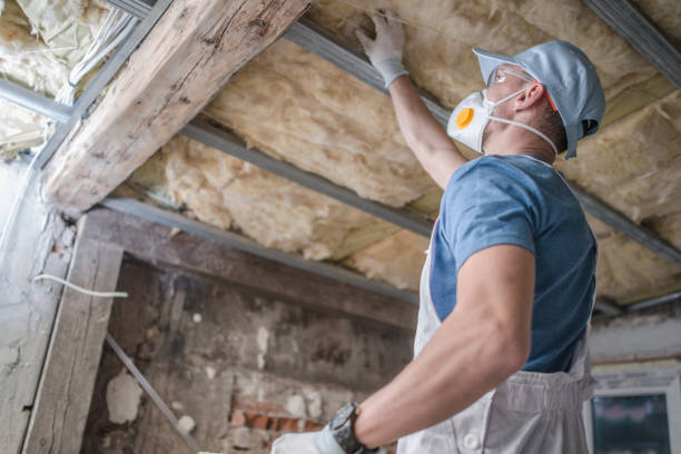 Best Energy Efficiency Solutions in Waldron, AR